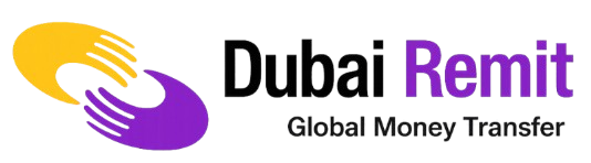DubaiRemit Int co. Logo